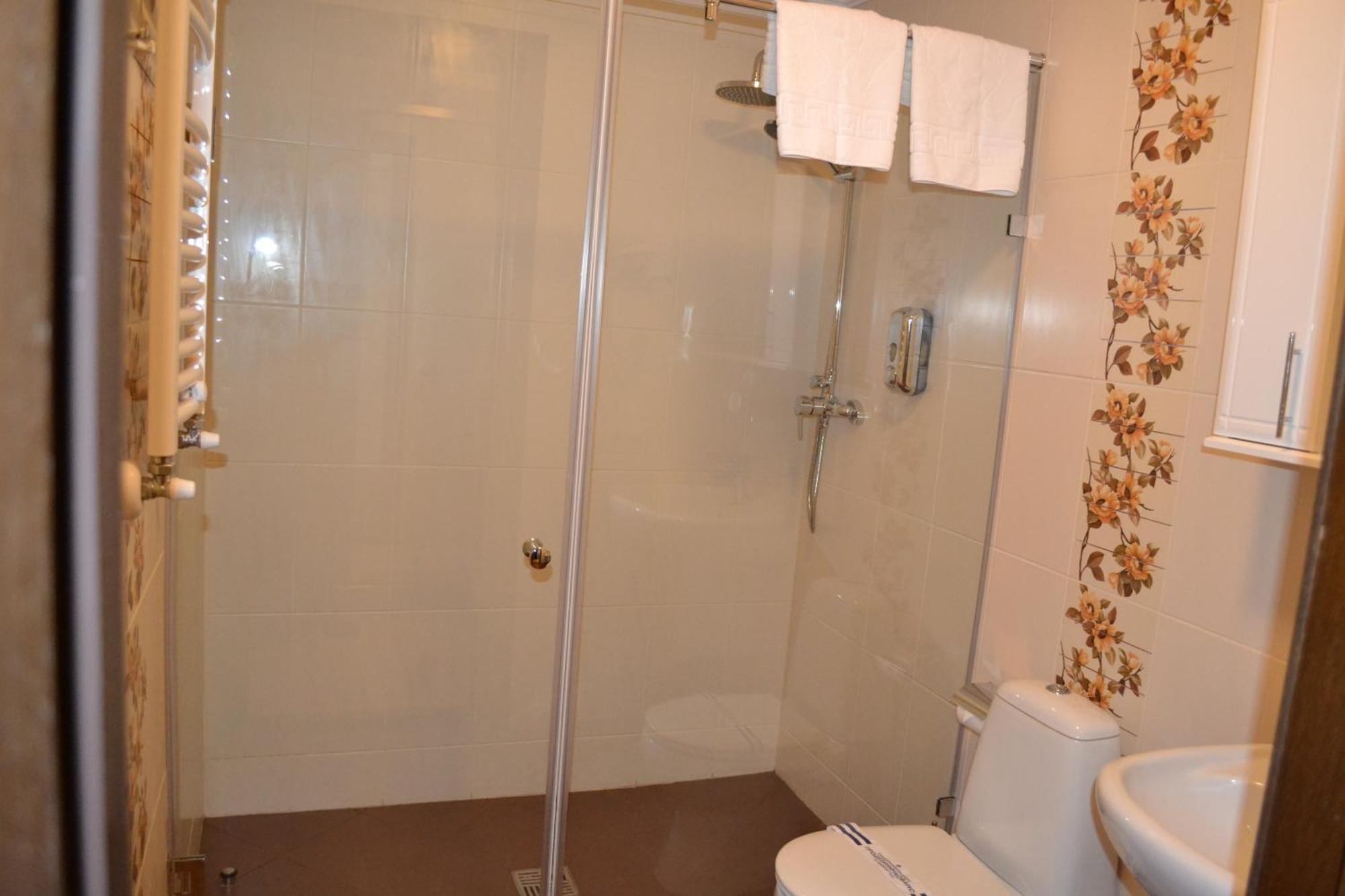 Zolota Forel Hotel Korostov Habitación foto